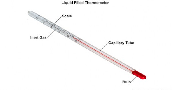 Thermometer bulb deals